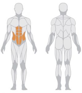 دستگاه شکم متحرک وزنه آزاد پاناتا مدل 1HP565