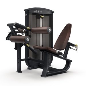 intenza Seated Leg EL-08
