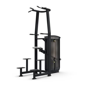 intenza Weighted Assisted Chin up & Dip EL-12