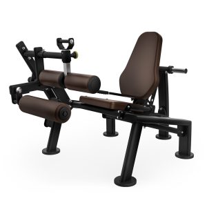 intenza Triceps Extension UL-09