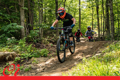 بدنه دوچرخه