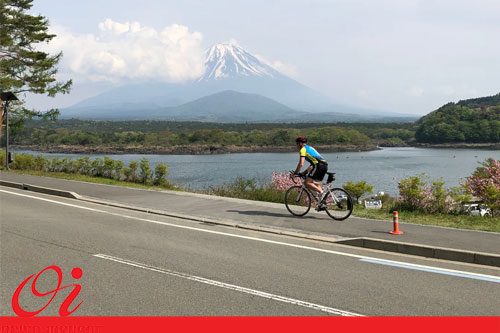 دوچرخه فوجی